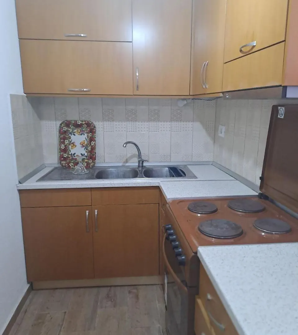 Te Raqi 2 Apartment Gjirokaster