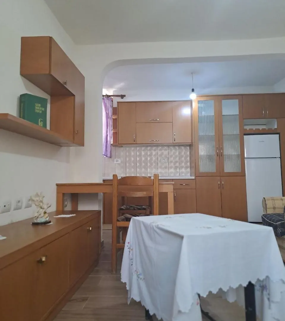 Te Raqi 2 Apartment Gjirokaster