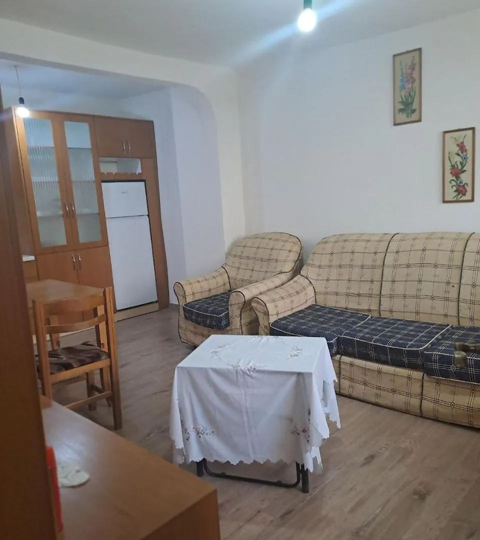 Te Raqi 2 Apartment Gjirokaster